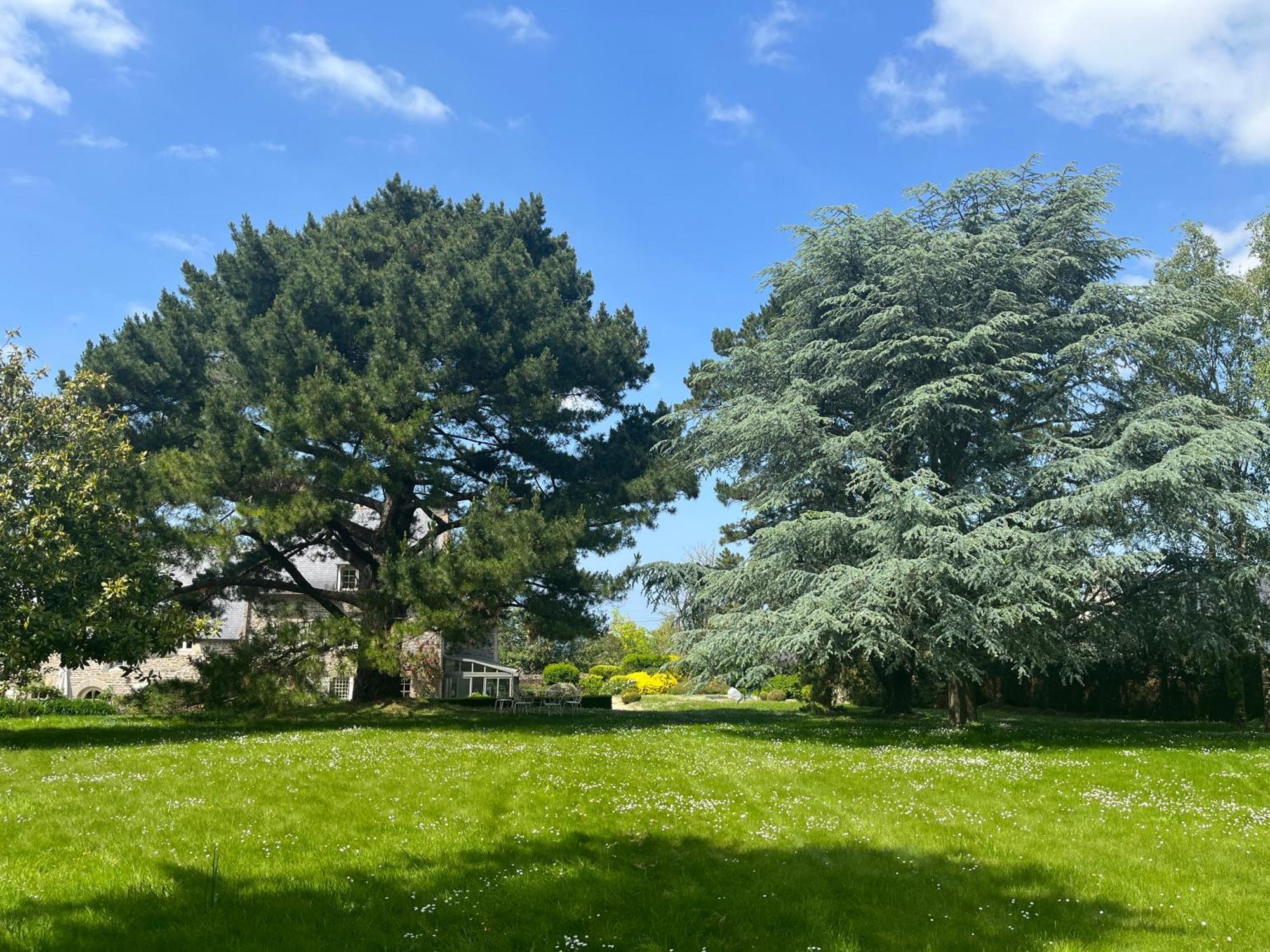 Manoir Des Bords De Rance Bed & Breakfast Plouër-sur-Rance Exterior foto