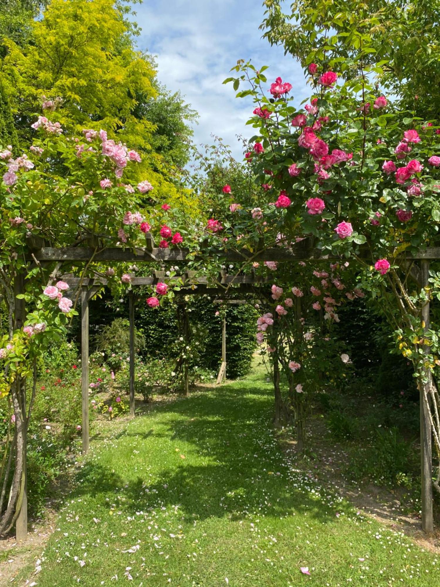 Manoir Des Bords De Rance Bed & Breakfast Plouër-sur-Rance Exterior foto