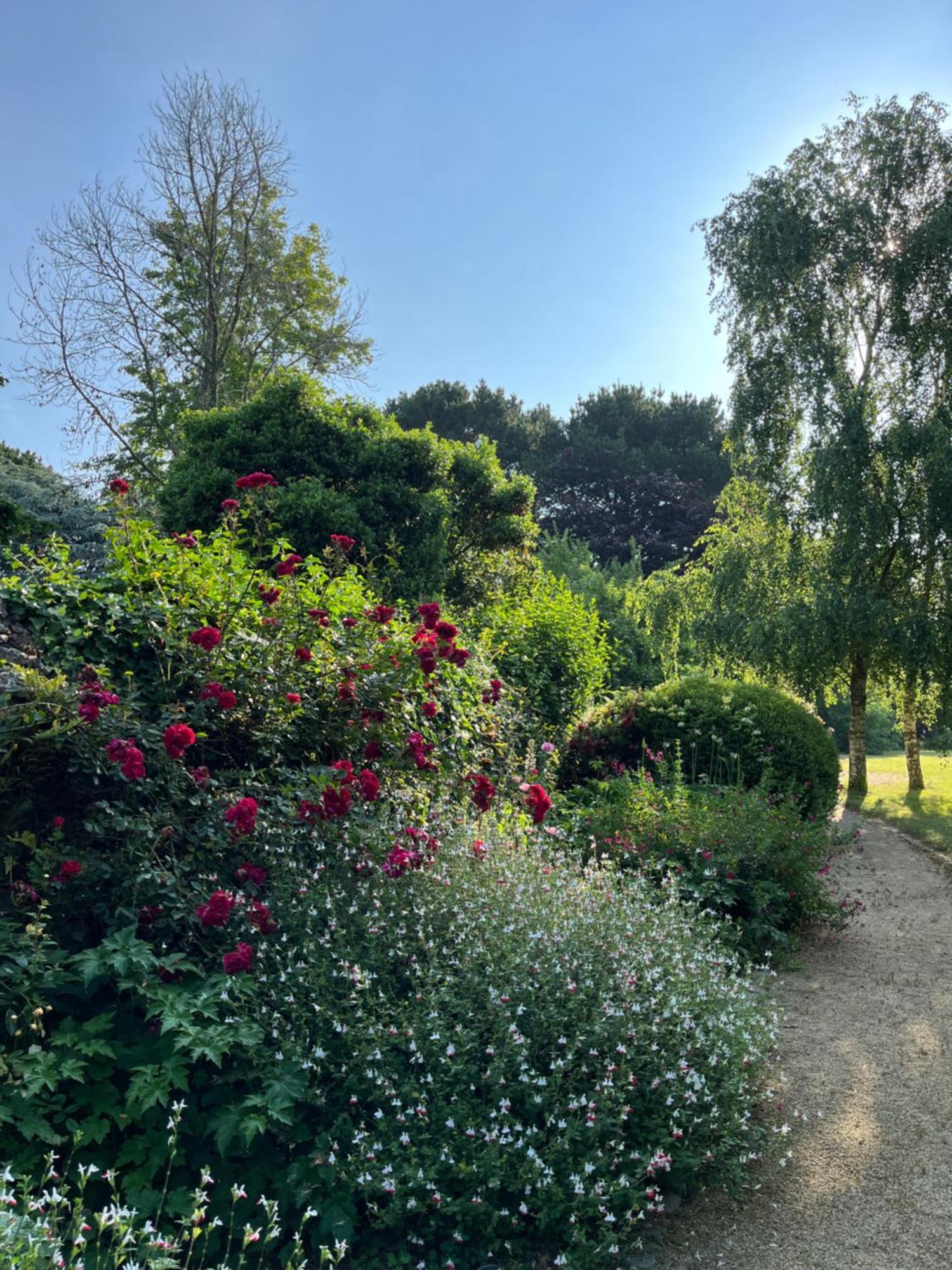 Manoir Des Bords De Rance Bed & Breakfast Plouër-sur-Rance Exterior foto